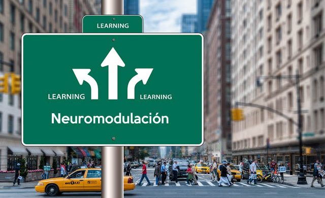 Formación y cursos de neuromodulación percutánea INBIOTEM: neuromodulación del suelo pélvico, neuromodulación percutánea integrado y avanzado